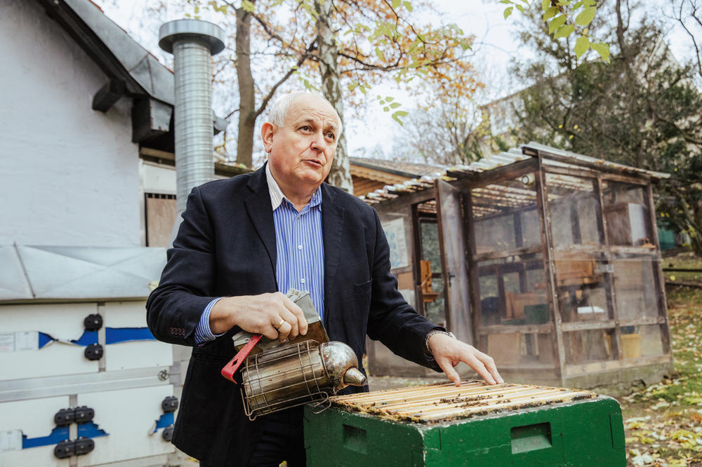Benedikt Polaczek: Berlin's probably best known beekeeper