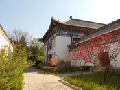 Peking University