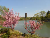 Peking University