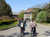 Peking University