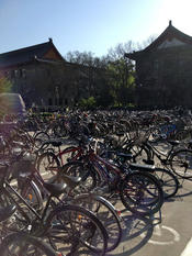 Peking University