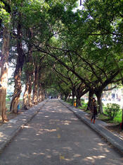 Sun Yat-sen University