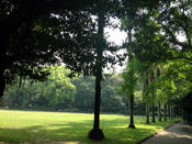 Sun Yat-sen University