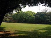 Sun Yat-sen University