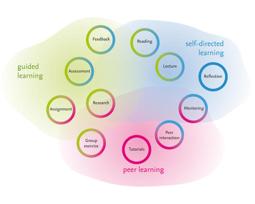 Mapping learning paths