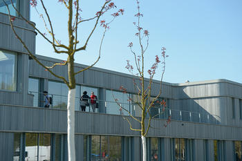 The so-called "Holzlaube" building houses numerous small academic departments such as Prehistoric Archeology, Egyptology, or Chinese Studies.