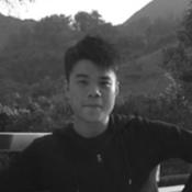 Vincent Ho