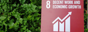 SDG goal Economic Growth