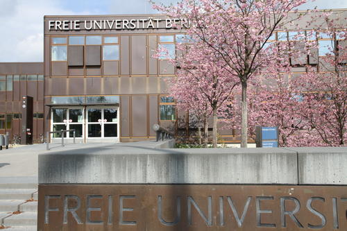 FU_Kirschbluete2