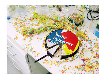 Berlin University Alliance Kuchen