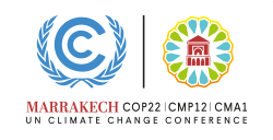 COP 22 in Marrakech