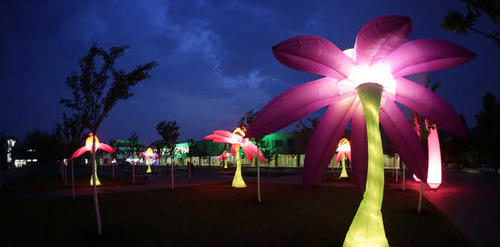 Flowers by night