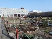 Spring Campus 2018