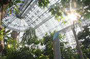 The Botanic Garden in Berlin-Dahlem, with an area of more than 43 hectares, is one of the largest and most important botanic gardens in the world.