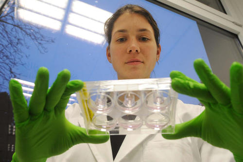 At the Department of Biology, Chemistry, and Pharmacy special emphasis is put on the life sciences.