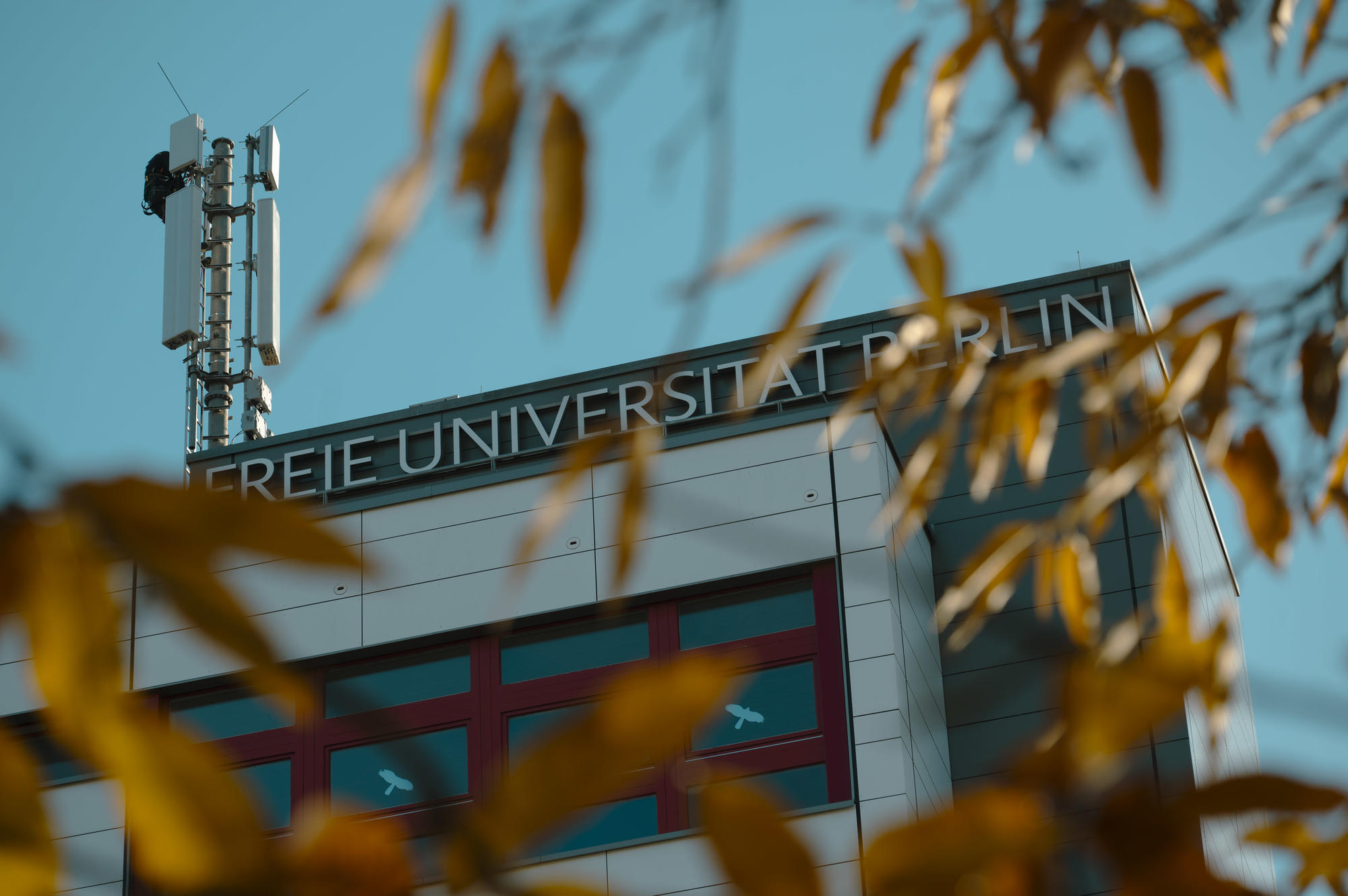 Freie Universität Berlin