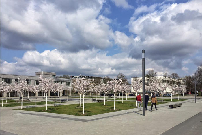 Campus der Freien Universität Berlin