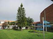 Regionaltreffen Deutscher Auslandschulen. Bogotá, 2010.