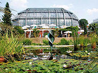 Botanischer Garten Tropenhaus