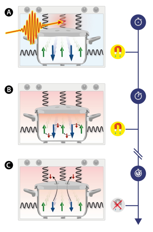 Heizen eines Magneten, ohne seine Magnetisierung zu ändern. © Sebastian Mährlein