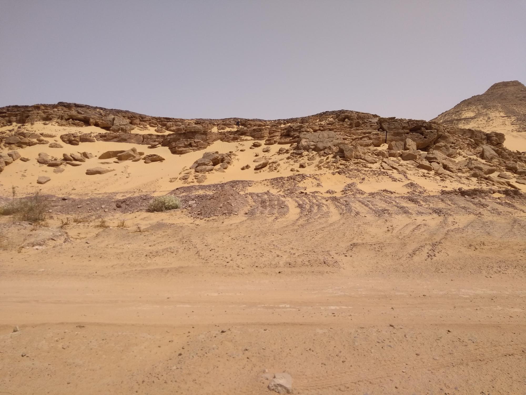 Geologischer Aufschluss im Sudan, der in der Zusammensetzung der fossilen Flora deruntersuchten südägyptischen Quseir-Formation ähnelt.