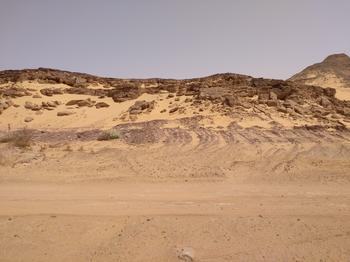 Geologischer Aufschluss im Sudan, der in der Zusammensetzung der fossilen Flora deruntersuchten südägyptischen Quseir-Formation ähnelt.