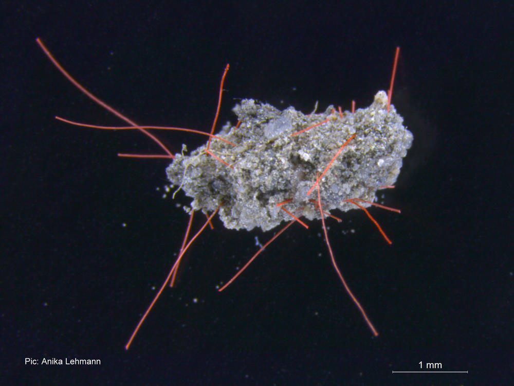 Bodenaggregat mit Mikroplastik-Fasern