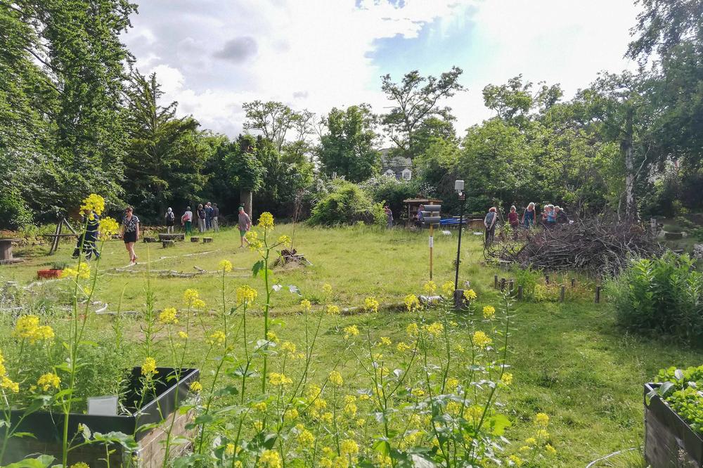 Der "Blätterwald" ist einer der beiden Orte, mit dem die Freie Universität am Langen Tag der Stadtnatur vertreten ist.