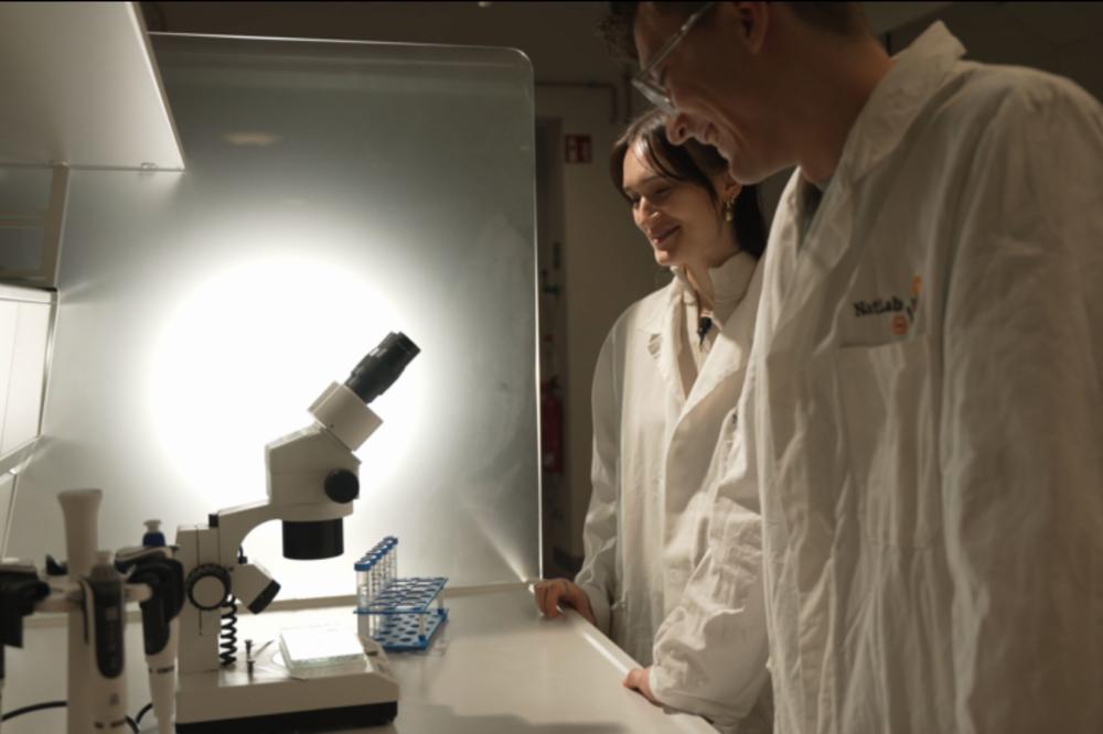 Studierende im Lehramtsstudium der Freien Universität Berlin bei einer praktischen Übung im Labor.