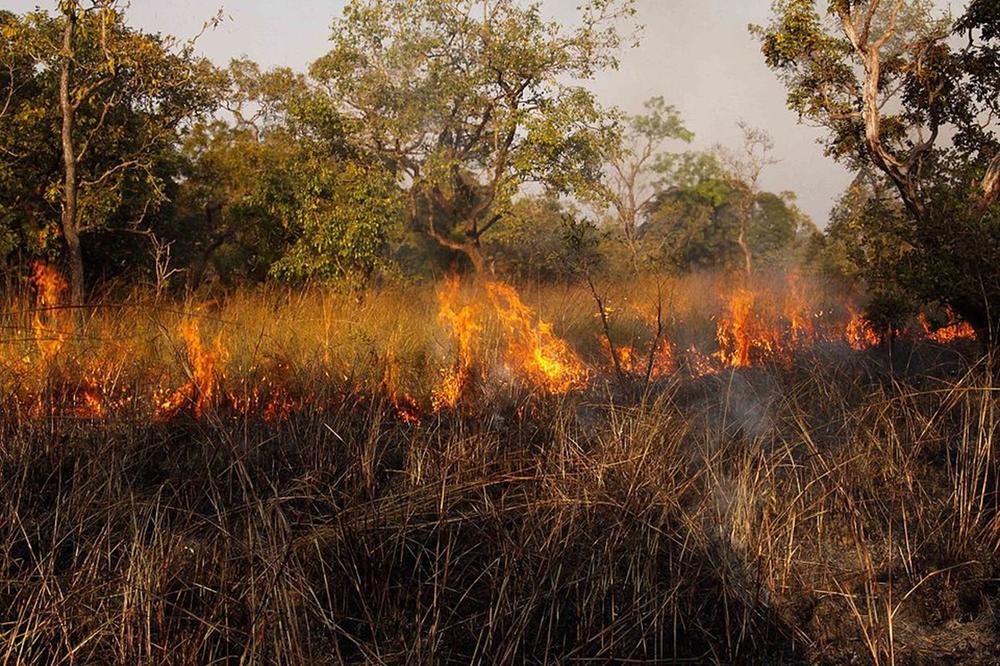 Menschen nutzten Feuer in Eurasien offenbar schon vor über 50.000 Jahren in einem Ausmaß, das weiträumige Veränderungen der Landschaft hinterließ.
