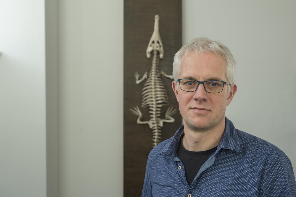 Prof. Dr. Jens Rolff