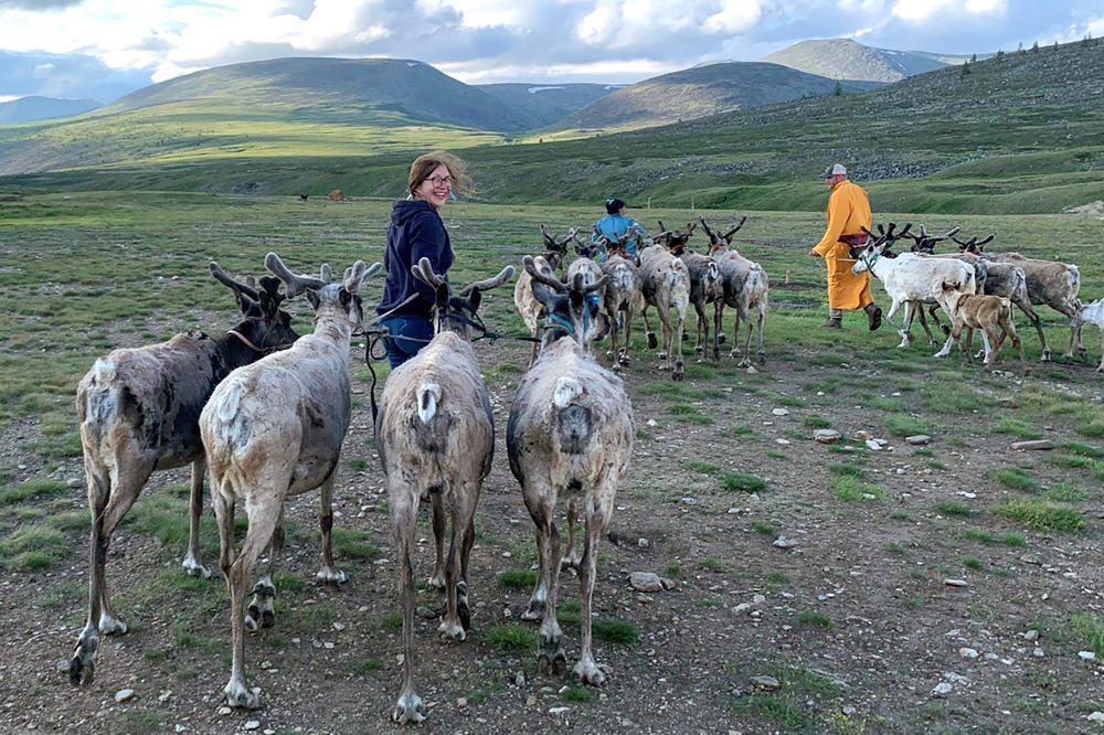 In der Nordmongolei arbeiten deutsche, mongolische und  amerikanische Forscher*innen zusammen mit indigenen Partner*innen der Dukha, um den archäologischen Fußabdruck der nomadischen Lebensweise von Jäger-Rentierhirt*innen zu erforschen.