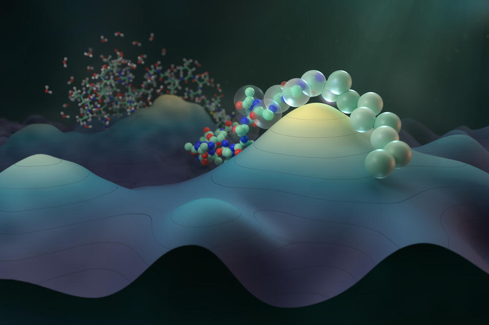 Die Entwicklung eines universellen grobkörnigen Proteinmodells ist seit langem eine Herausforderung. Nun ist es einem Forschungsteam unter Leitung von Prof. Dr. Cecilia Clementi (Freie Universität Berlin) gelungen.
