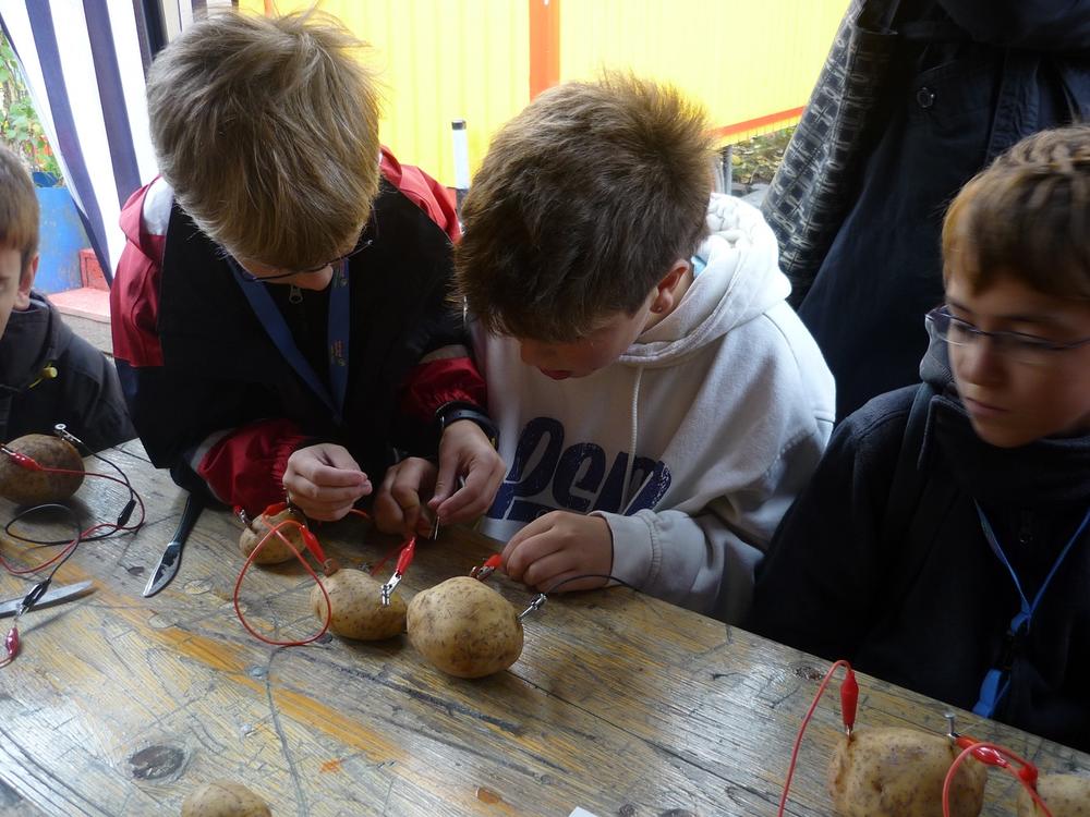 Die FU Berlin lädt Berliner Schülerinnen und Schüler wieder zu einem Mitmachprogramm zu Nachhaltigkeit und Klimaschutz ein.