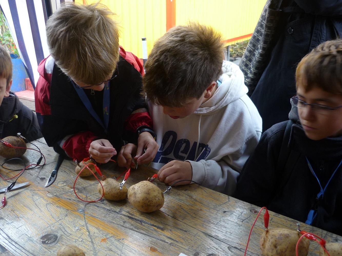 Die FU Berlin lädt Berliner Schülerinnen und Schüler wieder zu einem Mitmachprogramm zu Nachhaltigkeit und Klimaschutz ein.