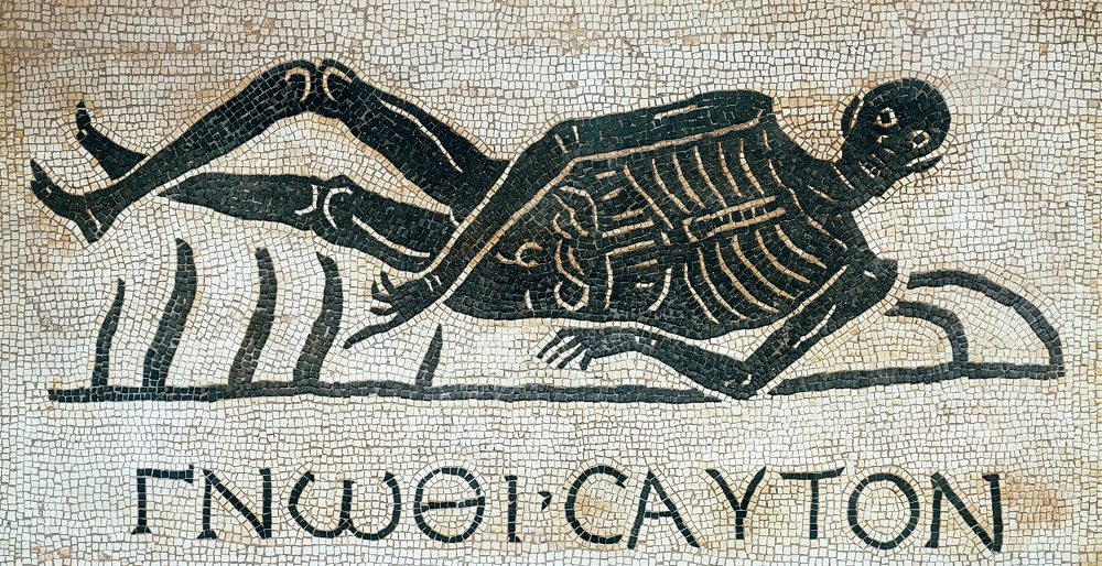 Welche philosophische Konzepte des "Selbst" gab es in der Antike? Das Philosphische Prodädeutikum an der FU gibt Antworten dazu.