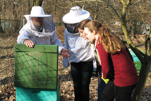 Öffnen der "Bienenbeute": Prof. Dr. Ralf Einspanier erklärt den Doktorandinnen Katrin Mießen (mit Imker-Schutz), Martina Bittel und Katja Haase (v.l.n.r.) den Aufbau eines Stocks