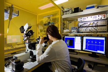 Im Exzellenzcluster "NeuroCure" arbeiten Wissenschaftler aus verschiedenen neurowissenschaftlichen Disziplinen zusammen.