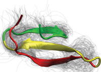 Biomolekül 