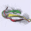 Biomoleküle