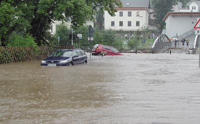 flut