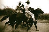 Gaucho in den Zeiten des Mercosul