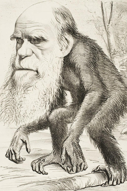 Charles Darwin sorgte mit seiner Evolutionstheorie für ein Ende der Mythifizierung von Tieren.