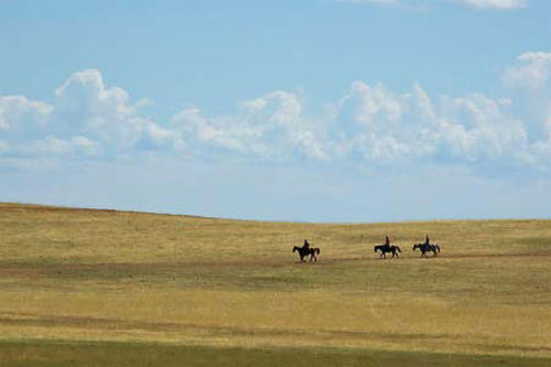 Bei der Besiedlung des amerikanischen Westens mussten weite Entfernungen überbrückt werden. Als Transportmittel waren Pferde unabdingbar.