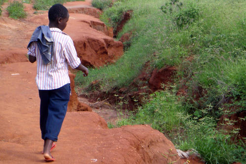 Spuren des Hochwassers: Die kenianische Stadt Voi ist von bis zu vier Meter tiefen Erosionsgräben durchzogen. Deutsche Hydrologen und Wasserbauer geben ihre Expertise weiter.