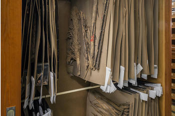 Larger herbarium records are kept in cabinets.