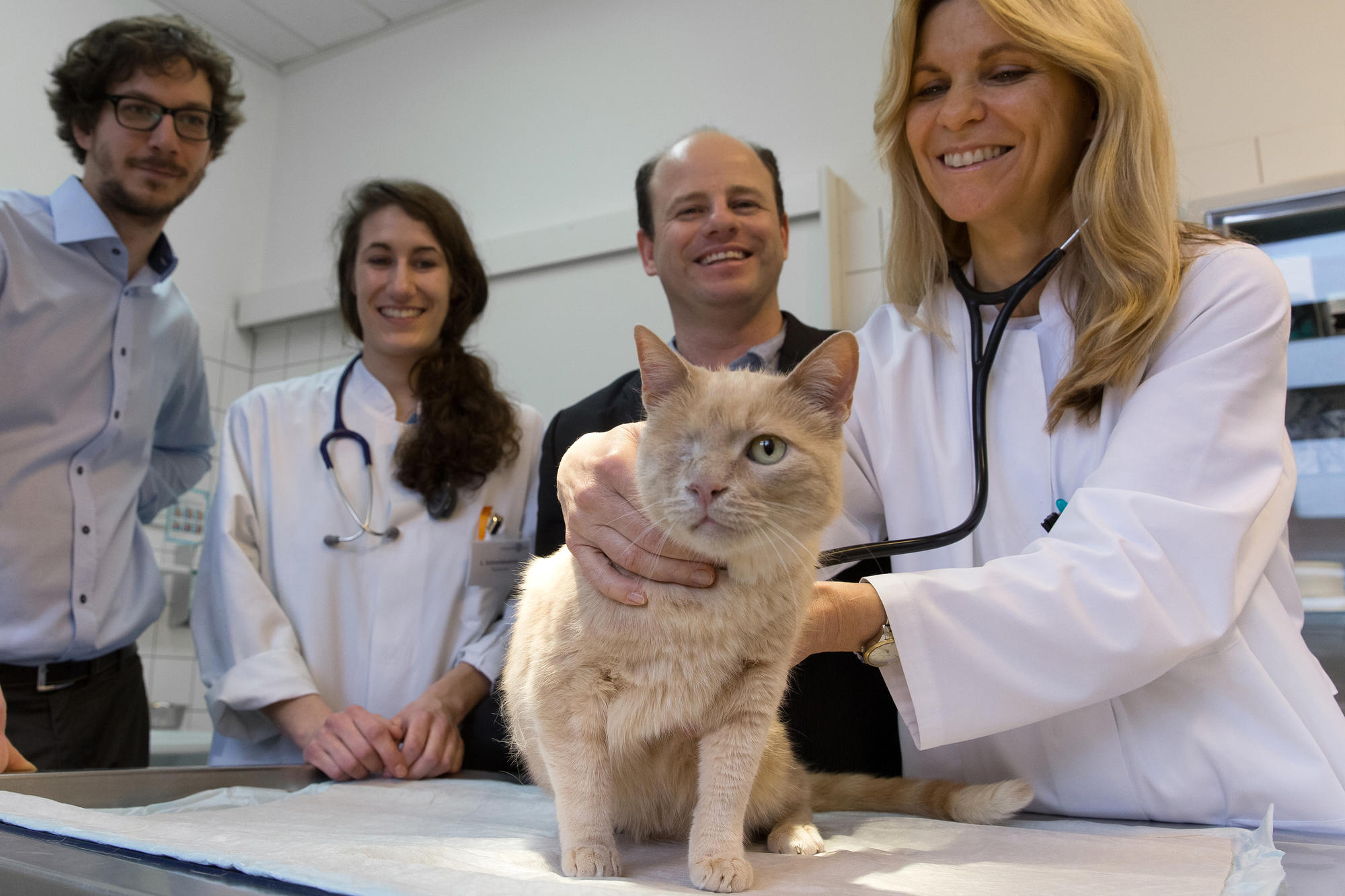 Auch Tiere profitieren vom Arznei-Shuttle (v. l. n. r.): Gründer Emanuel Fleige, Tierärztin Laura Schneidewind, Gründer Sam Moré sowie die Direktorin der Kleintierklinik der Freien Universität Prof. Babara Kohn mit Katze Psyllos.