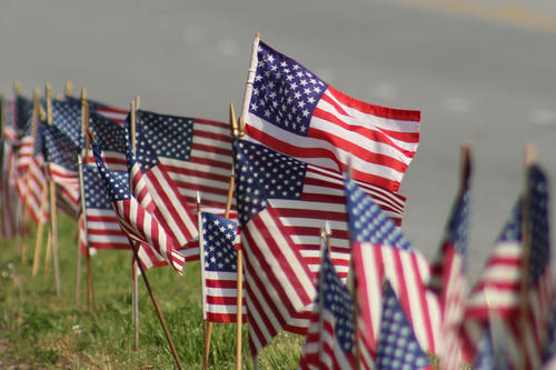 Row of USA Flags 2 (1)