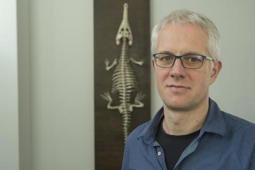 Evolutionary biologist Jens Rolff does research on the complex immune system of insects.
