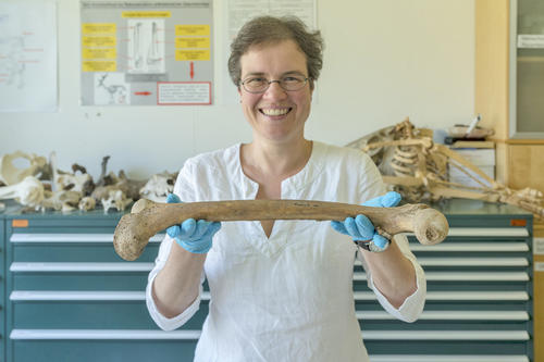Archaeologist Eva Rosenstock is shown holding a prehistoric femur.